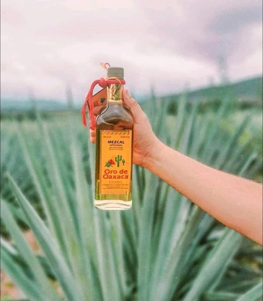 “MEZCAL DE ORO DE OAXACA”, UN MEZCAL CON SABOR ARTESANAL – DISTRITO ...